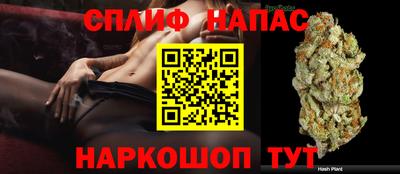 гидра Камышлов