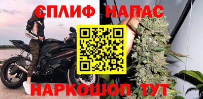 гидра Камышлов