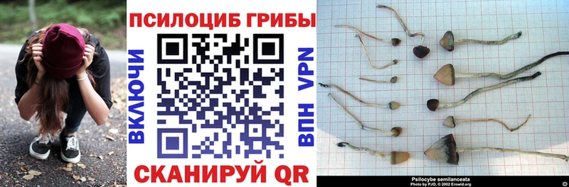 Галлюциногенные грибы MAGIC MUSHROOMS  как найти закладки  OMG сайт  Муравленко 