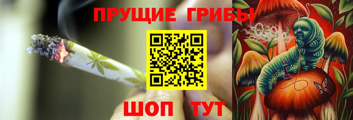 Муравленко  Галлюциногенные грибы MAGIC MUSHROOMS  Вход с VPN 